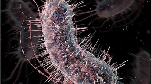 重新編碼生命 藥物研發的革新，更是生物領域的偉大嘗試