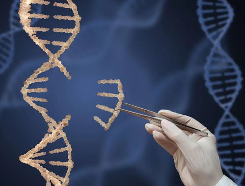 未來十年生物醫藥需重點關注的10大領域
