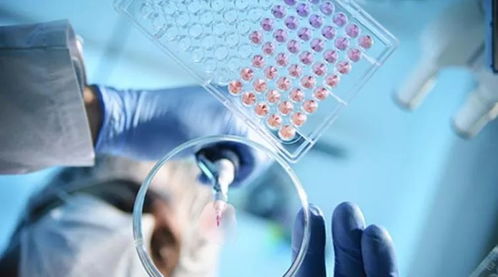 官媒點贊干細胞 生物醫學或將迎來“三次革命”